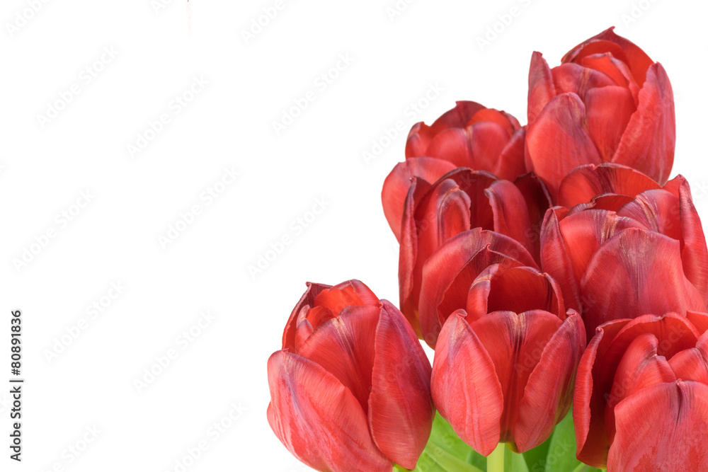 Bouquet of red tulips Bouquet of red tulips
