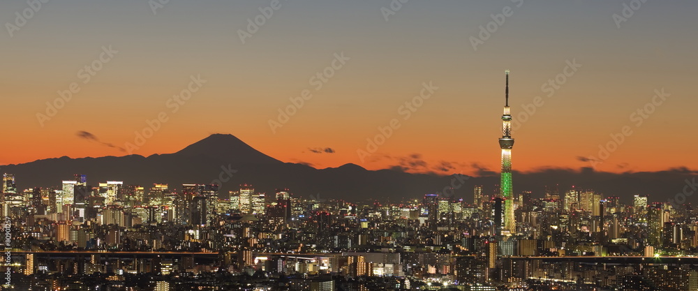 Naklejka premium Widok na miasto Tokio z wieżowcem Tokio i górskim fuji.