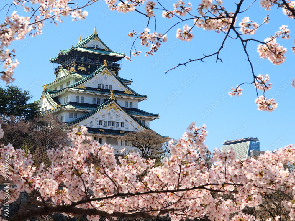 Fototapeta premium Zamek w Osace wiosną