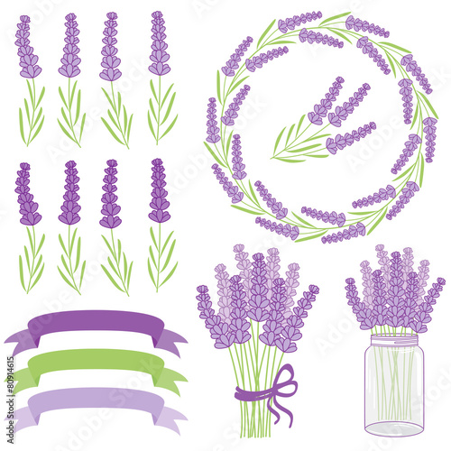 Fototapeta Naklejka Na Ścianę i Meble -  Lavender Set