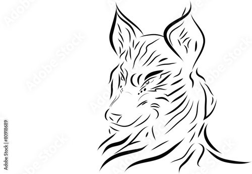 Lupo bianco e nero