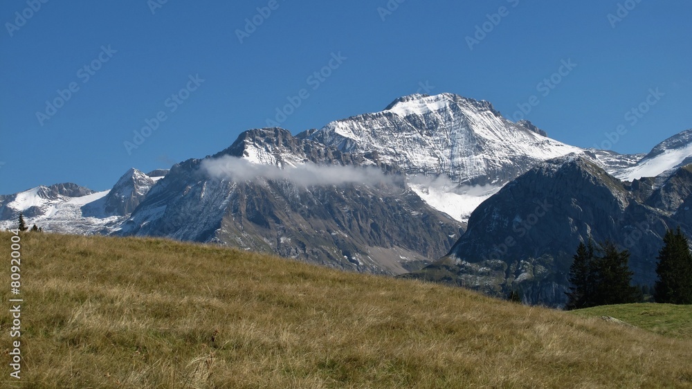 Snow capped Wildhorn, high mountain in the Swiss Alps