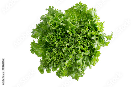 Head of crispy leafy Californian lettuce