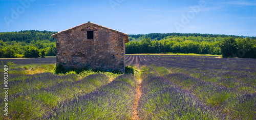 Provence