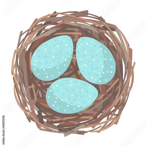 Nest with eggs
