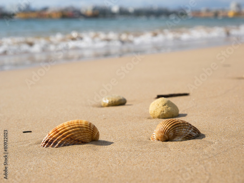 Urlaub - Strand - Muscheln - Portugal - Algarve