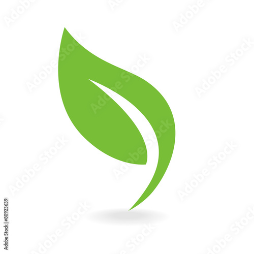 Fototapeta Eco icon green leaf