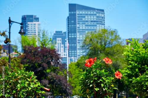Boston Common park gardens and skyline © lunamarina