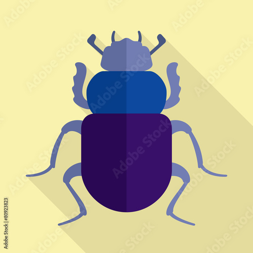Scarab beetle
