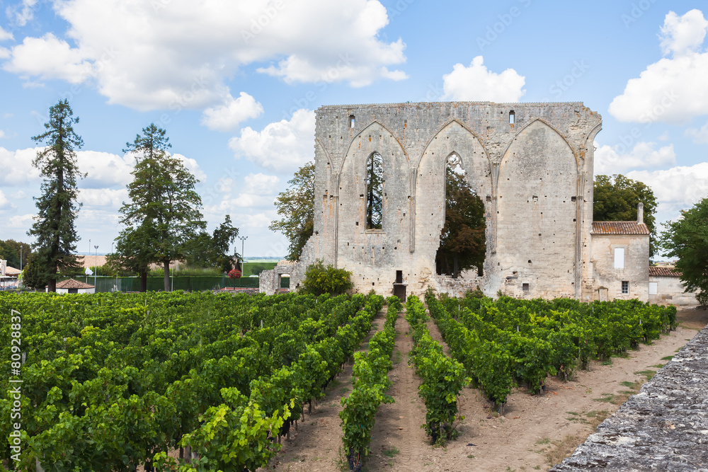 Vineyards of Saint Emilion with ruined church, Bordeaux