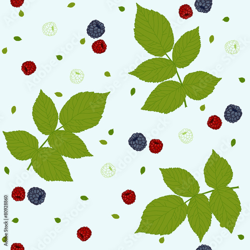 Raspberries, blackberries and green leaves on a white field.