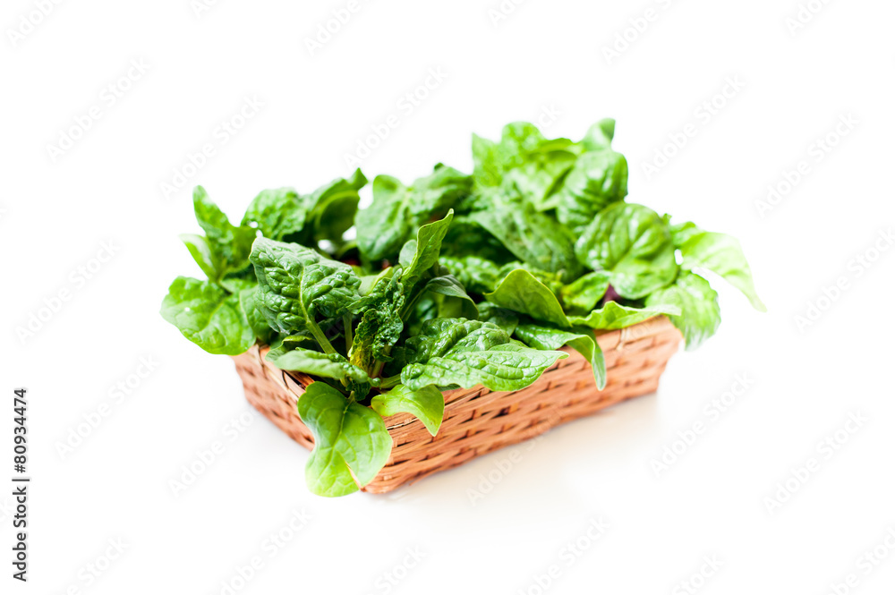 Bunch of green raw spinach leaves on white background Bunch of green raw spinach leaves on white background