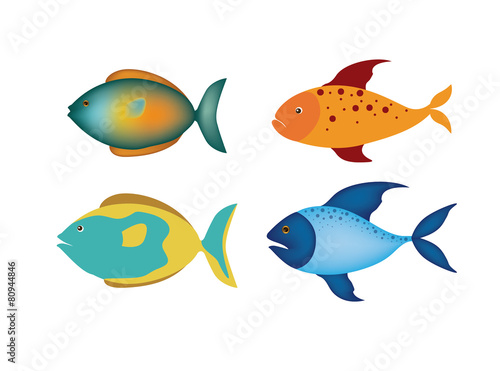 Fish design