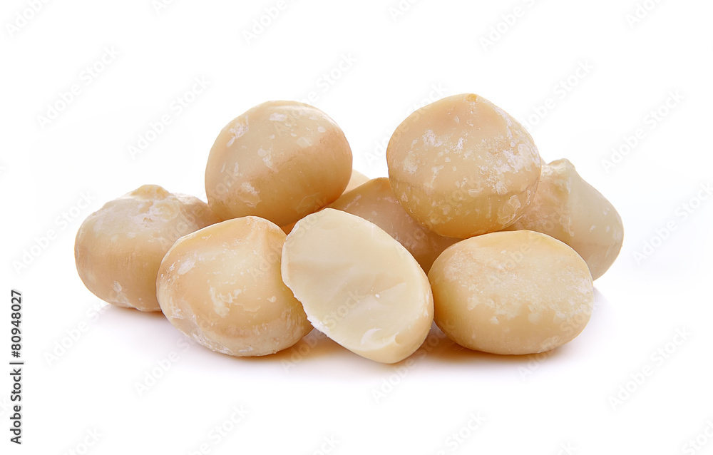 macadamia nut isolated on a white background