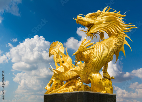 Photography Golden dragon