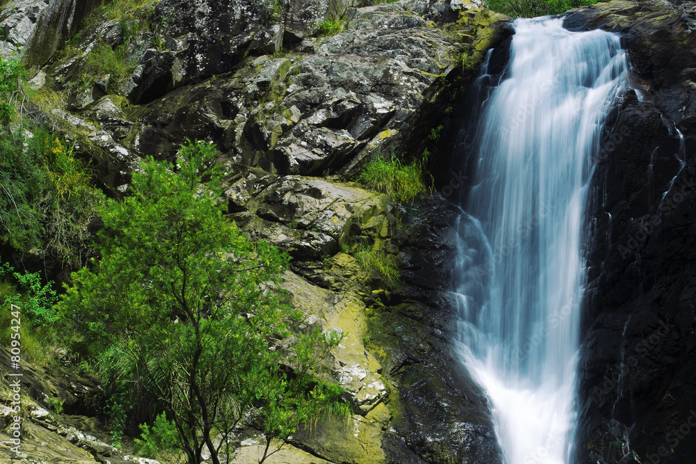 Waterfall in the gold coast hinterlands on the NSW border. Waterfall in the gold coast hinterlands on the NSW border.
