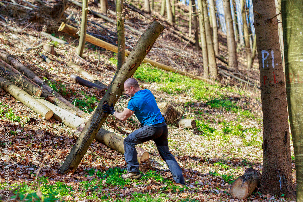 strong man carrying a tree trunk strong man carrying a tree trunk