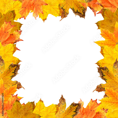 Frame of autumn leaves isolated on white
