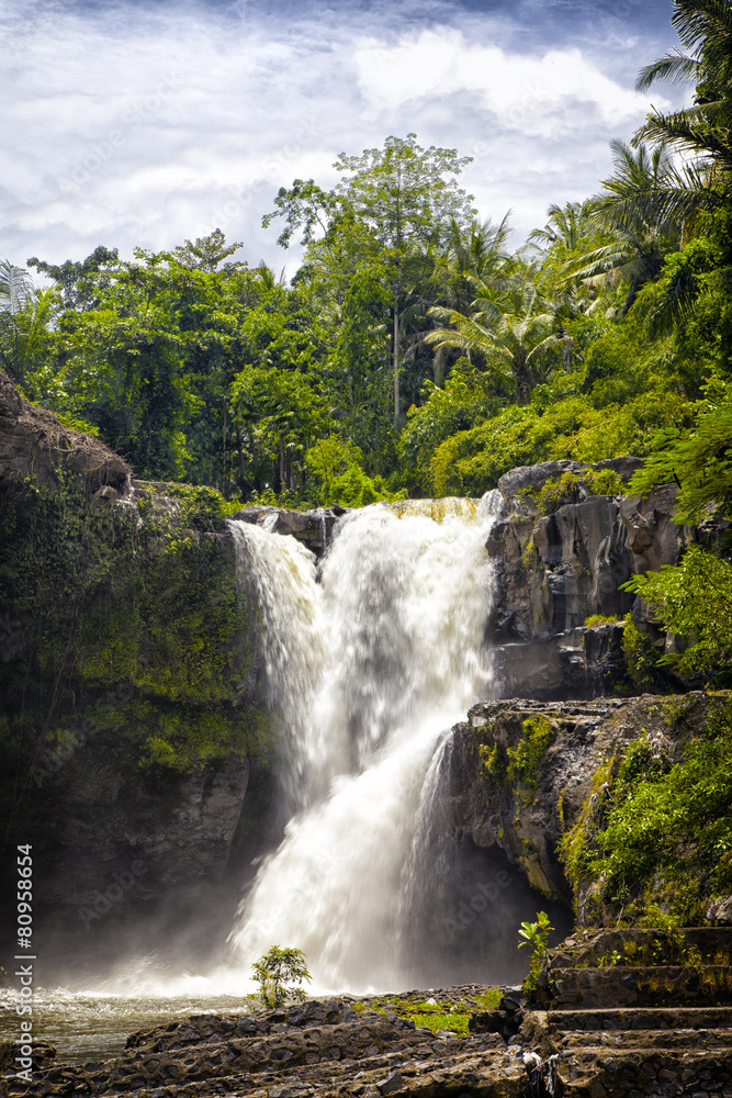 Fototapeta premium picturesque Tegenungan falls in tropics on the island of Bali