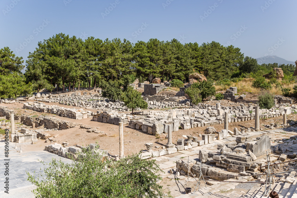 Archaeological site of Ephesus. Ruins of Gymnasiums