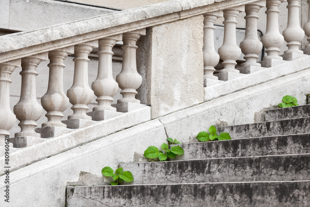 Fototapeta premium Small green plants grow through old stone stairs