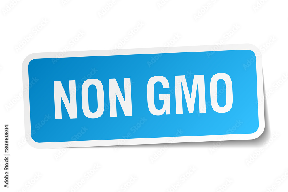 non gmo blue square sticker isolated on white non gmo blue square sticker isolated on white