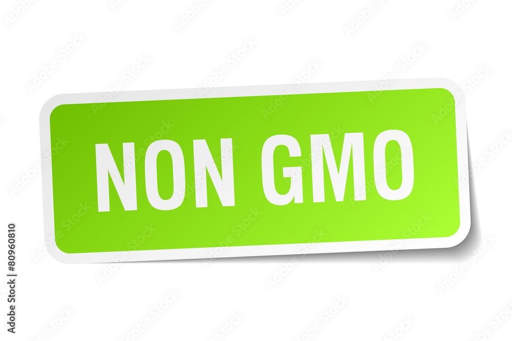 non gmo green square sticker on white background non gmo green square sticker on white background