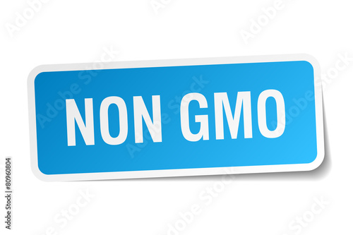 non gmo blue square sticker isolated on white