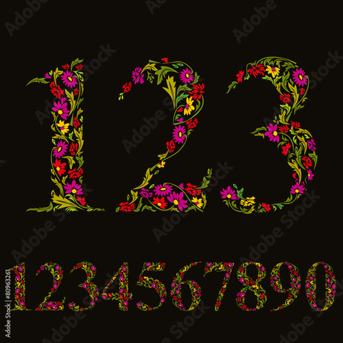 Beautiful floral numbers se...