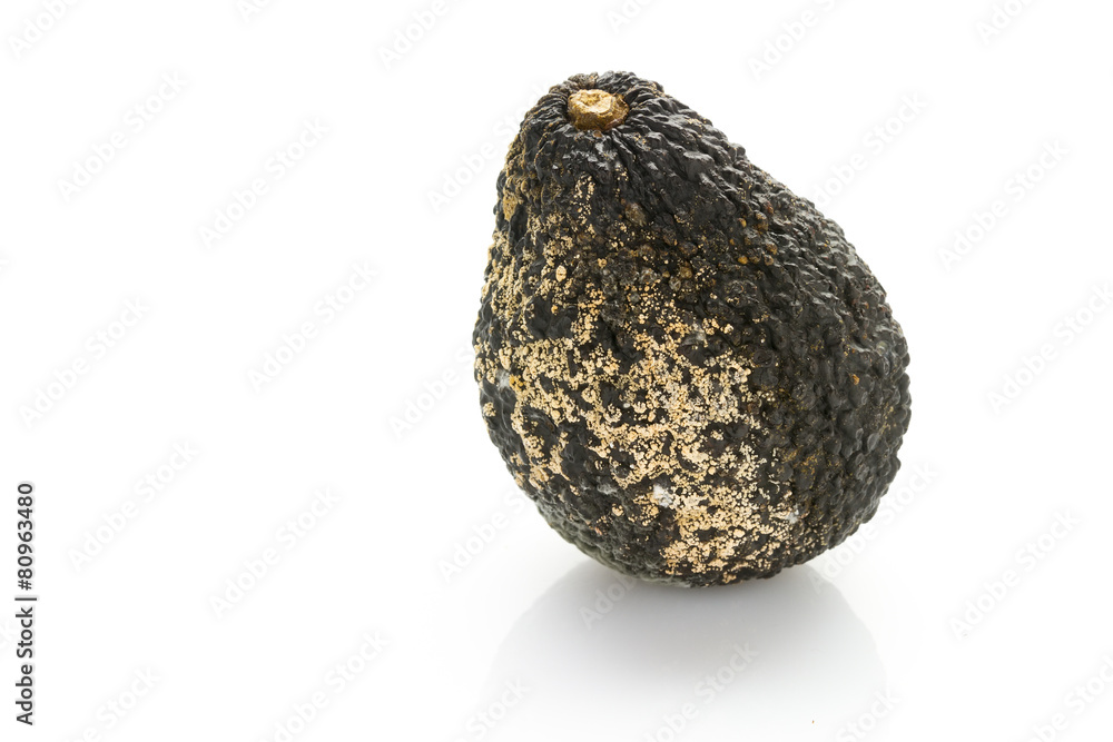 rotten avocado rotten avocado