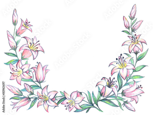 Fototapeta Naklejka Na Ścianę i Meble -  Delicate pink lily. Pencil drawing
