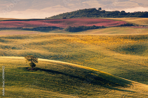 Tuscany - Italy