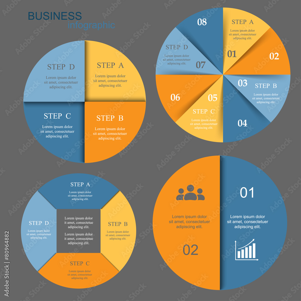 Vector infographics set Vector infographics set