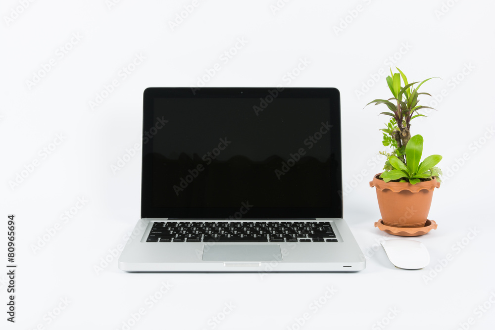Fototapeta premium Laptop and flower pot isolate