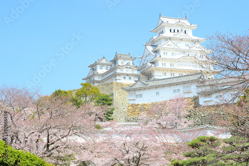 Himeji castle in spring photo