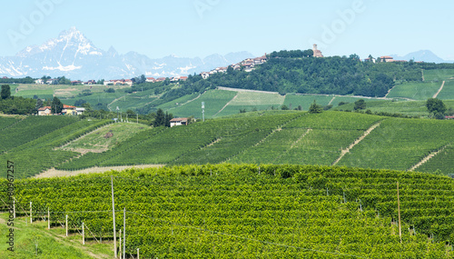 Wallpaper Mural Summer landscape in Langhe (Italy) Torontodigital.ca
