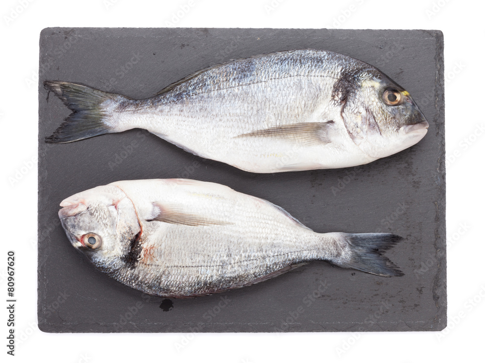 Fototapeta premium Fresh dorado fish
