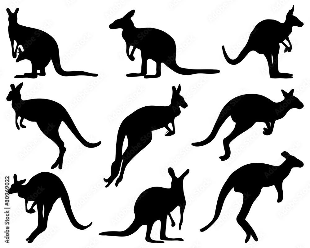 Black silhouettes of kangaroo, vector illustration