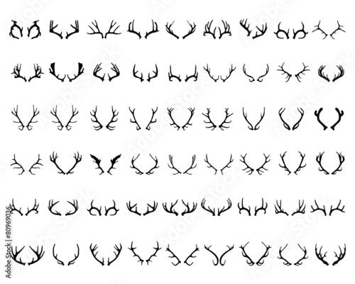 Fotografiet Black silhouettes of different deer horns, vector