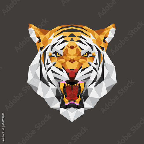 Tiger head polygon geometric, Vector illustration