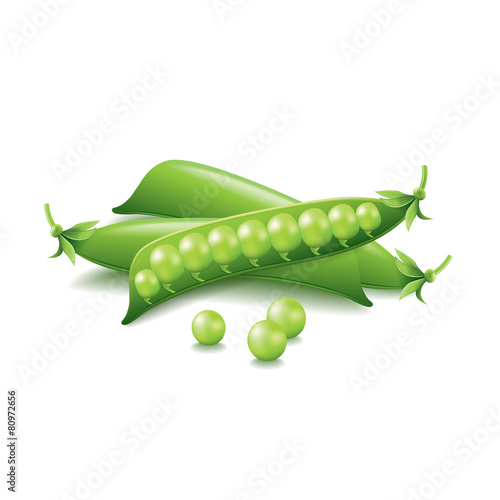 Peas isolated on white vector