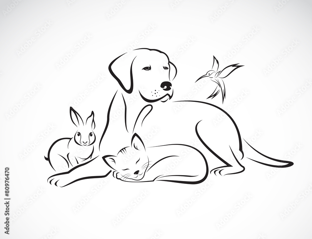 Vector group of pets - Dog, cat, bird, rabbit, isolated on white - obrazy, fototapety, plakaty 