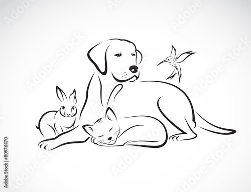 Vector group of pets - Dog, cat, bird, rabbit, isolated on white
