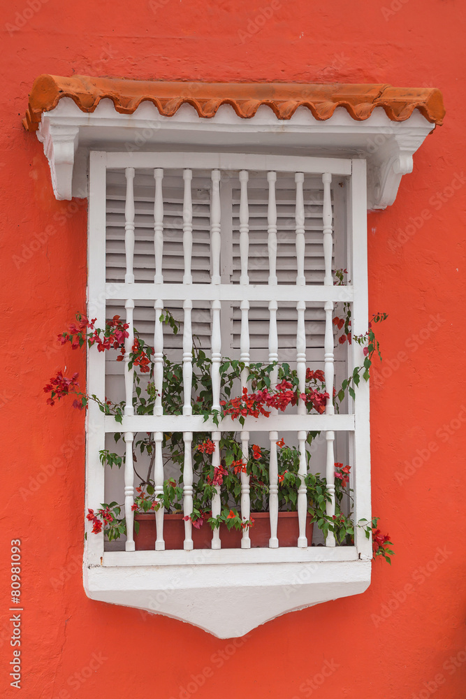 Detalle en las hermosas fachadas de las casas coloniales de la ciudad  amurallada de Cartagena de Indias en Colombia. Ventana blanca en casa color  naranja 素材庫相片| Adobe Stock