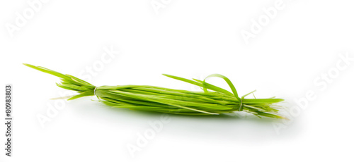 figure green grass isolated photo