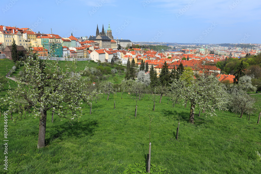 Spring Prague gothic Castle with Nature and flowering Trees