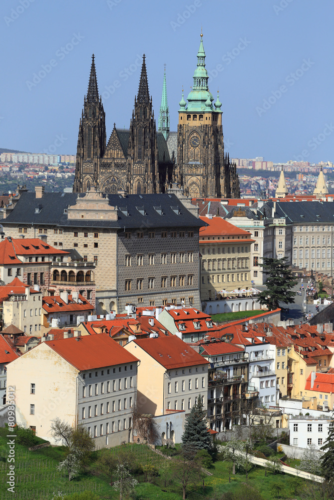 View on the spring Prague gothic Castle, Czech Republic