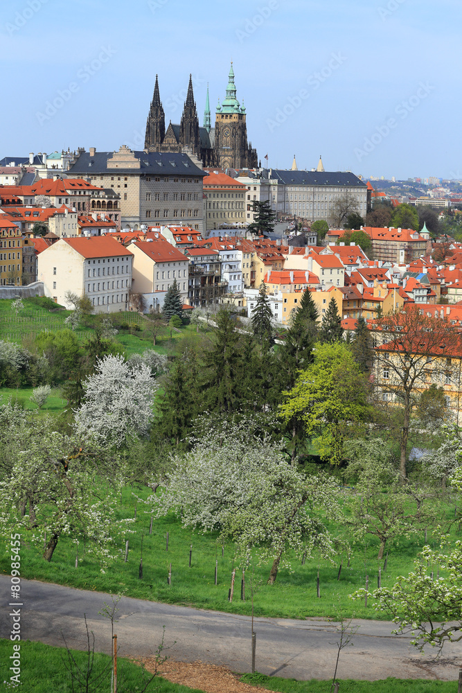 Obraz premium View on the spring Prague gothic Castle, Czech Republic