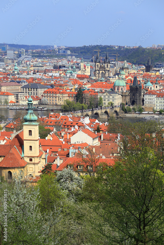 Obraz premium View on the spring Prague City, Czech Republic