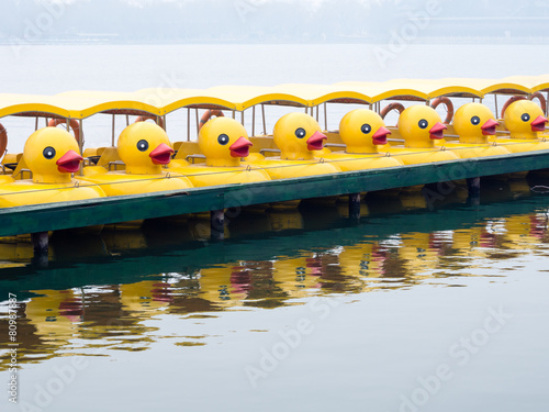 Duck pedal boats in a row photo